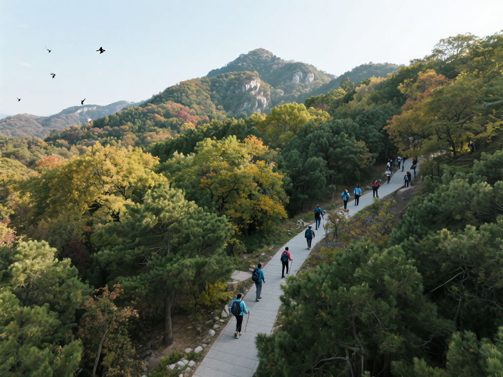 星空体育推荐:周末户外运动的最佳去处 (星空体育推荐:周末户外运动最佳去处全攻略) 对于喜欢安静和沉浸式体验的朋友,郊外的森林公园是一